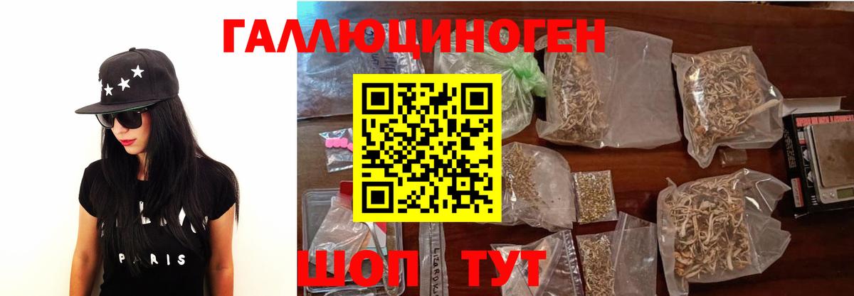 цена наркотик  Вход с VPN  Псилоцибиновые грибы Magic Shrooms  Щёлково  Галлюциногенные грибы Psilocybe 