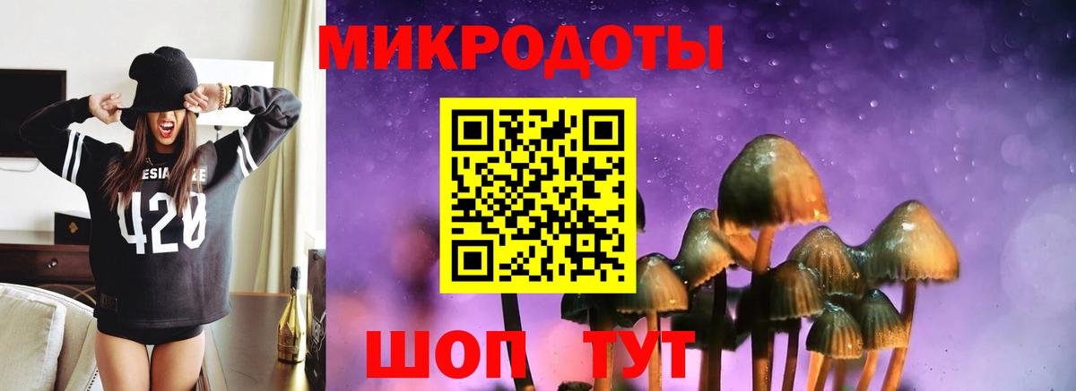 Псилоцибиновые грибы мухоморы Щёлково
